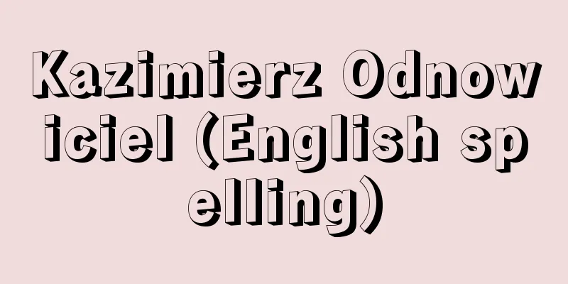 Kazimierz Odnowiciel (English spelling)