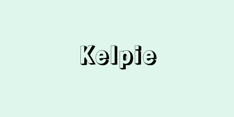 Kelpie