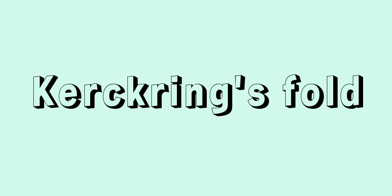 Kerckring's fold