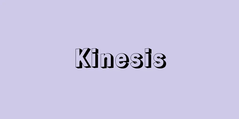 Kinesis