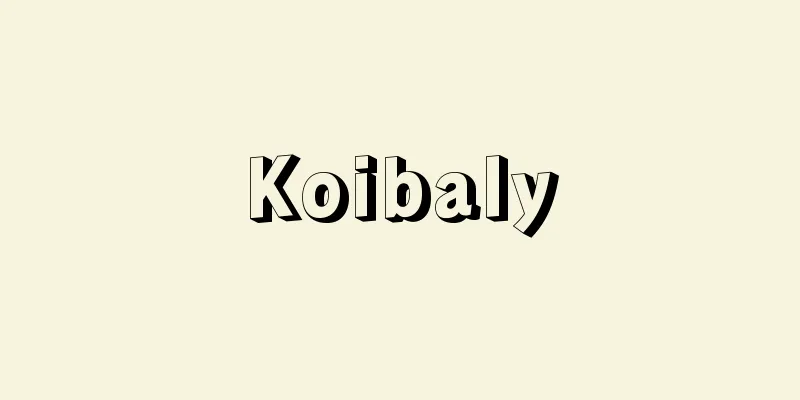 Koibaly
