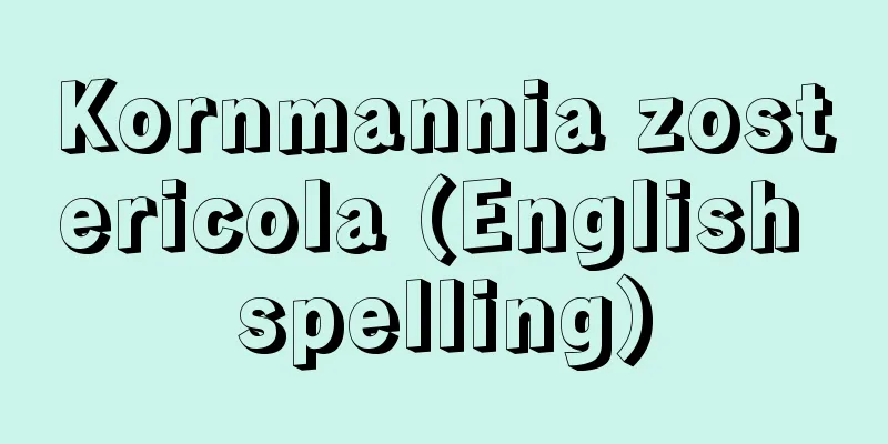 Kornmannia zostericola (English spelling)
