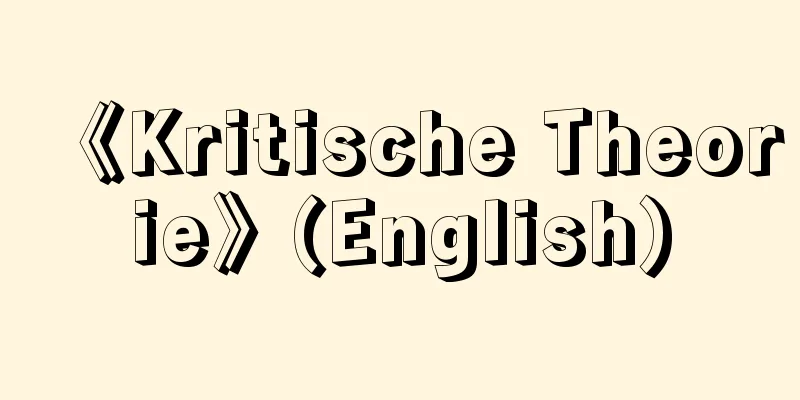 《Kritische Theorie》(English)