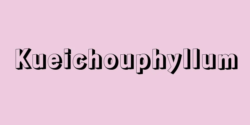 Kueichouphyllum