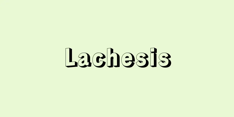 Lachesis