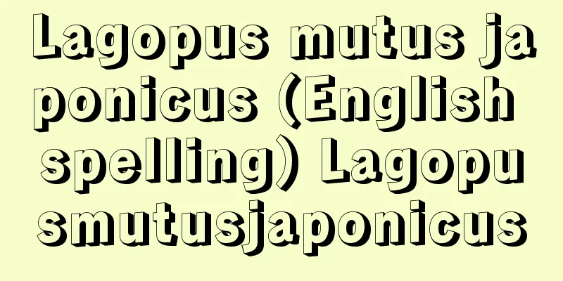 Lagopus mutus japonicus (English spelling) Lagopusmutusjaponicus
