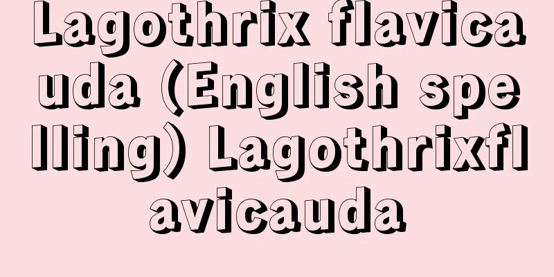 Lagothrix flavicauda (English spelling) Lagothrixflavicauda