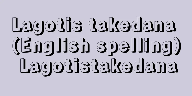 Lagotis takedana (English spelling) Lagotistakedana