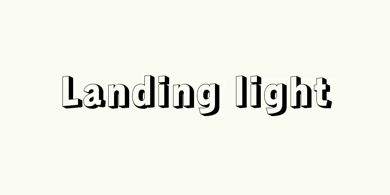 Landing light