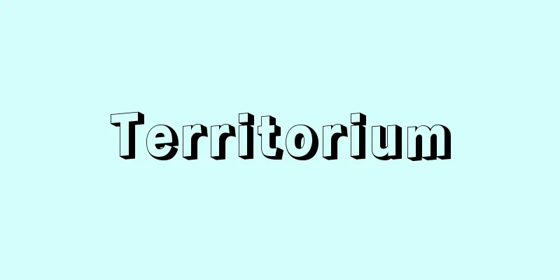 Territorium