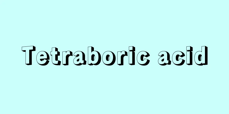Tetraboric acid