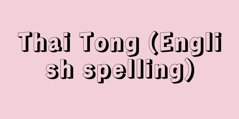 Thai Tong (English spelling)