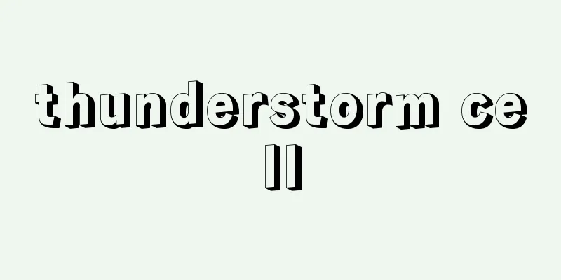 thunderstorm cell