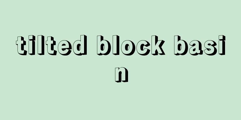 tilted block basin