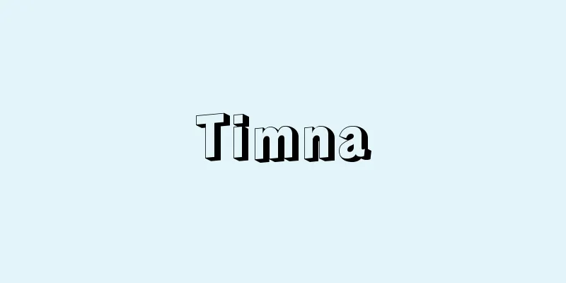 Timna