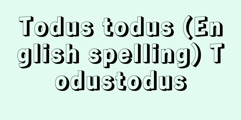 Todus todus (English spelling) Todustodus