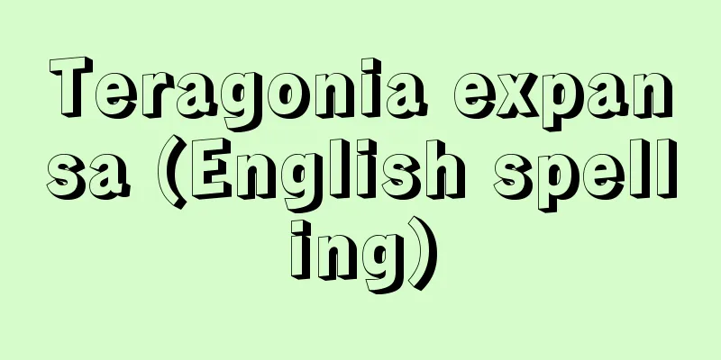 Teragonia expansa (English spelling)