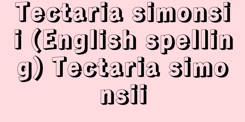 Tectaria simonsii (English spelling) Tectaria simonsii