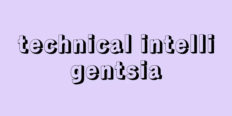 technical intelligentsia