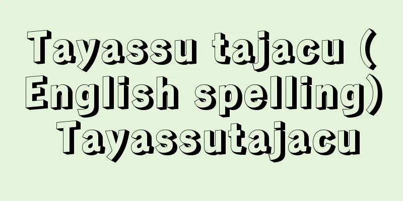 Tayassu tajacu (English spelling) Tayassutajacu