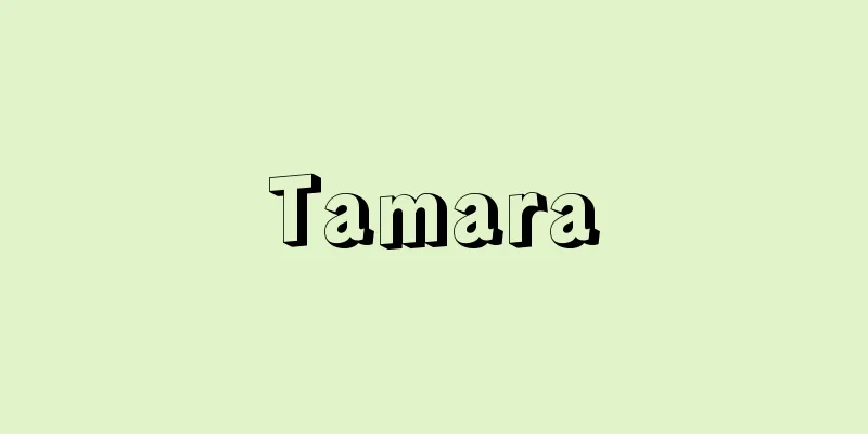 Tamara