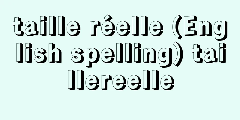 taille réelle (English spelling) taillereelle