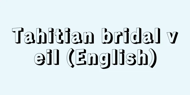 Tahitian bridal veil (English)