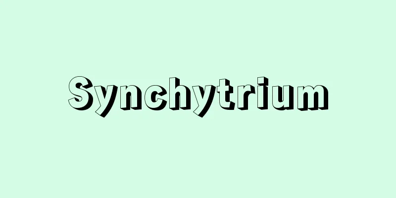 Synchytrium