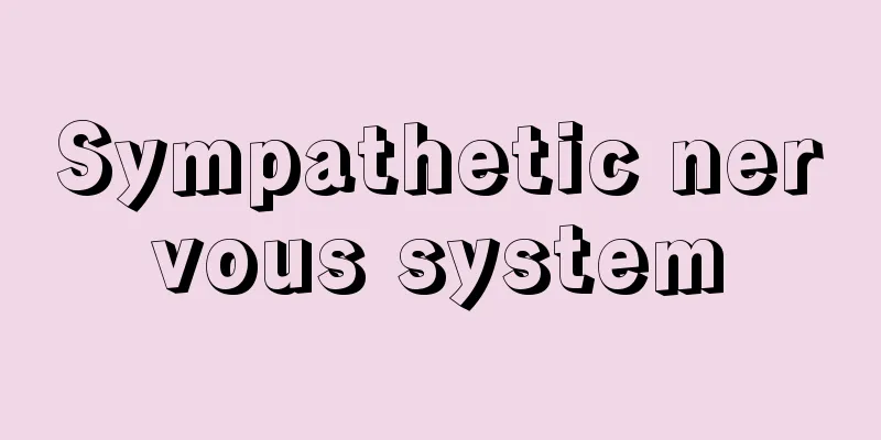 Sympathetic nervous system