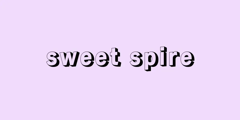 sweet spire
