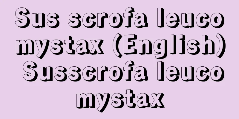 Sus scrofa leucomystax (English) Susscrofa leucomystax