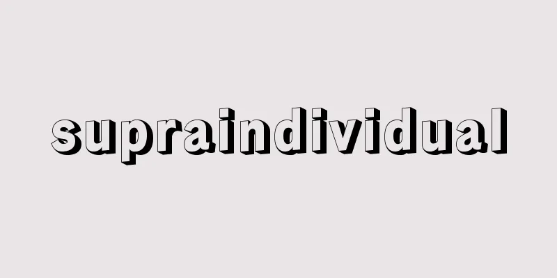 supraindividual