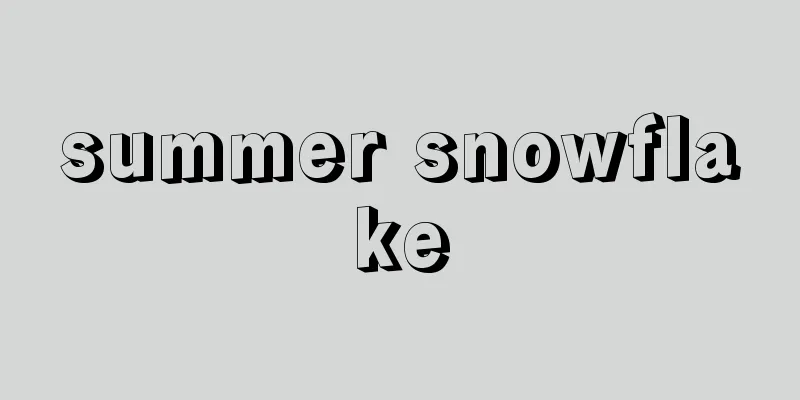 summer snowflake