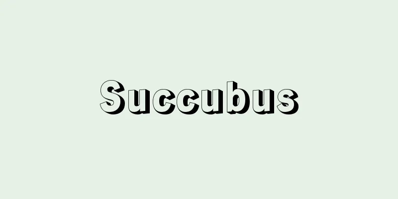 Succubus