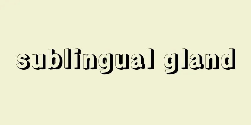 sublingual gland