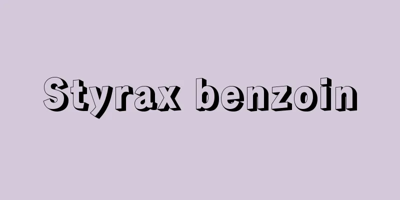 Styrax benzoin