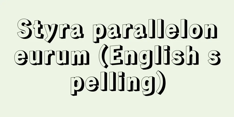 Styra paralleloneurum (English spelling)