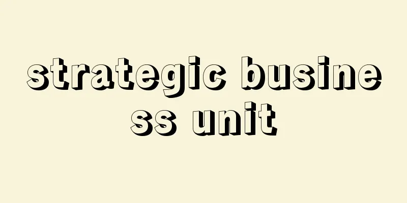 strategic business unit