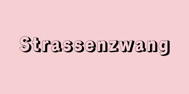 Strassenzwang
