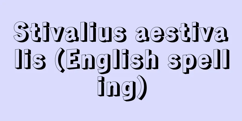 Stivalius aestivalis (English spelling)
