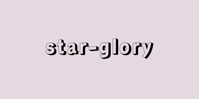 star-glory