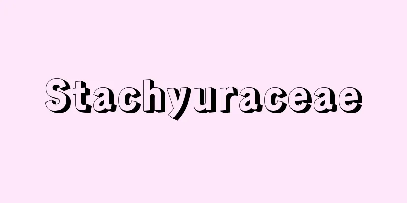 Stachyuraceae