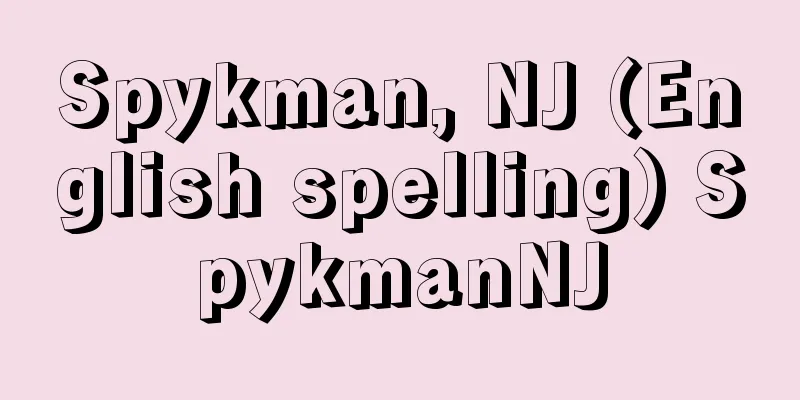 Spykman, NJ (English spelling) SpykmanNJ