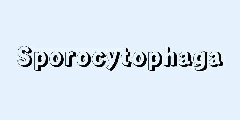 Sporocytophaga