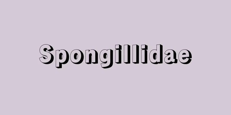 Spongillidae