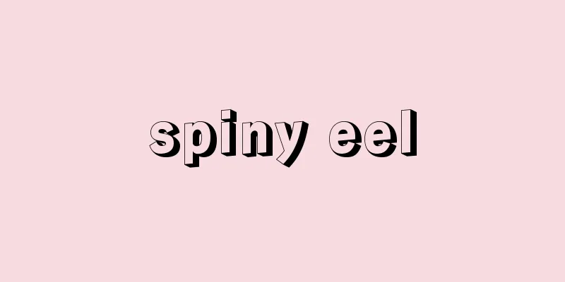spiny eel