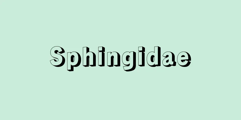 Sphingidae