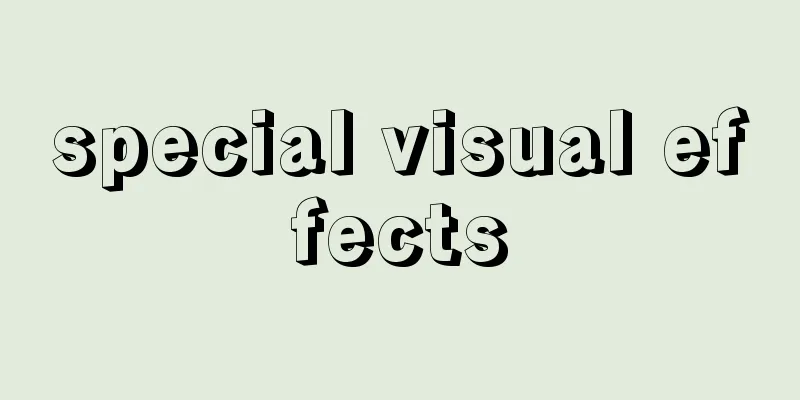 special visual effects