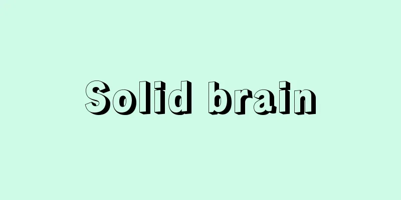Solid brain