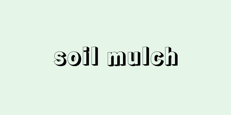 soil mulch